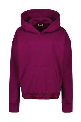 logo-hoodie