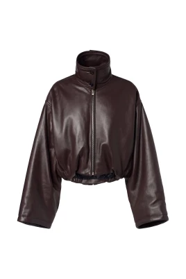 Collar Jacket