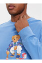 klassiek-sweatshirt
