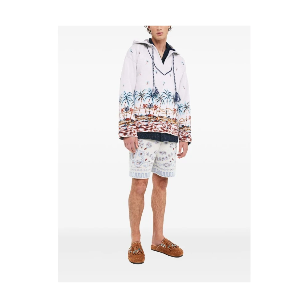 Alanui Off-White Klassieke Hoodie Multicolor Heren
