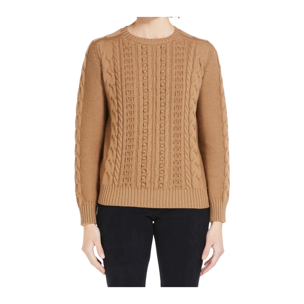 Max Mara Bruine Sweaters voor Vrouwen Brown Dames