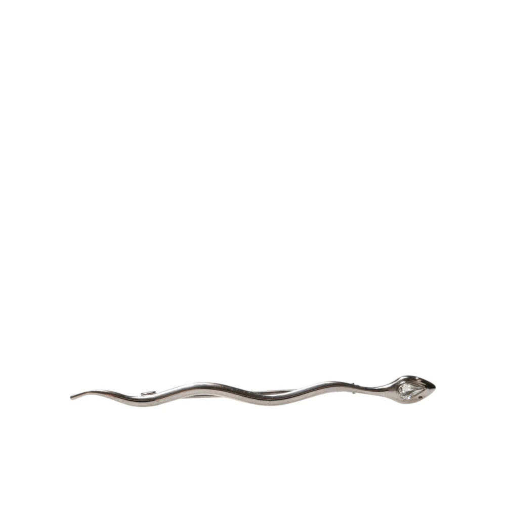 Dolce & Gabbana Unisex Grijs Accessoires One Size, Kristal Serpente Heren Broche Pin