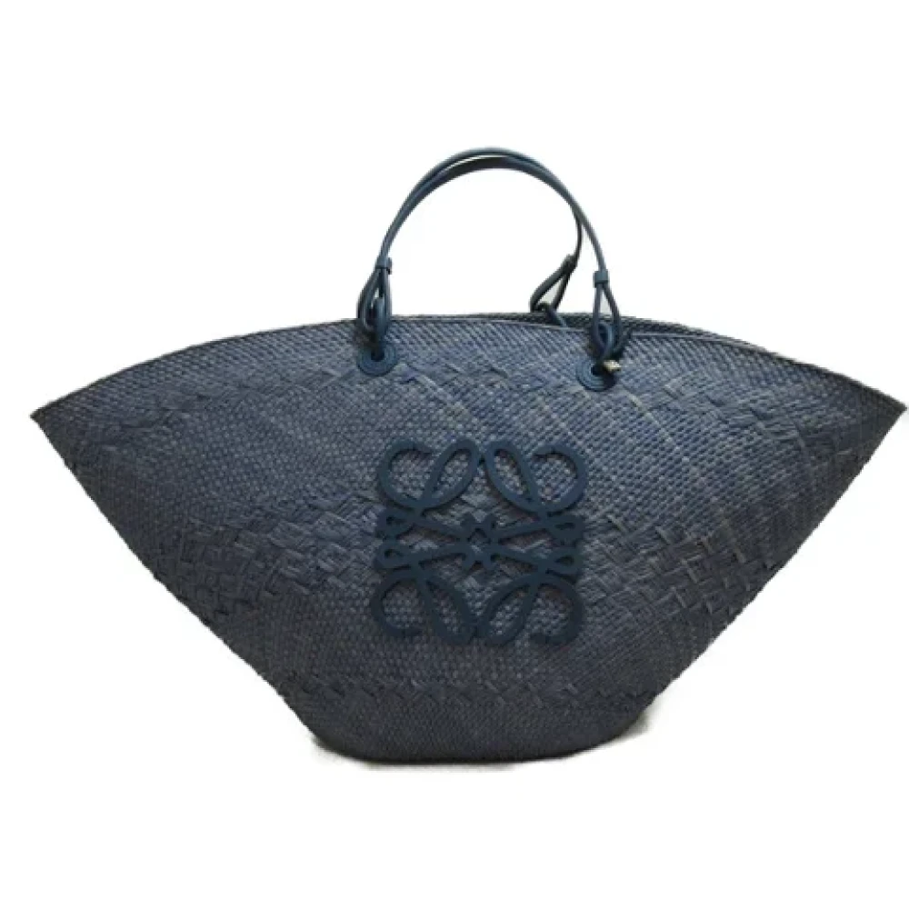 Loewe Pre-owned Raffia crossbody-bags Blue Dames