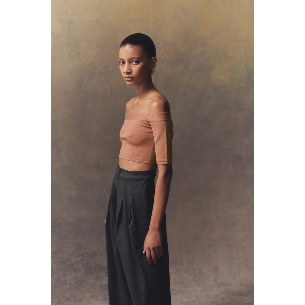 Cortana Zijde Stretch Off-Shoulder Crop Top Brown Dames