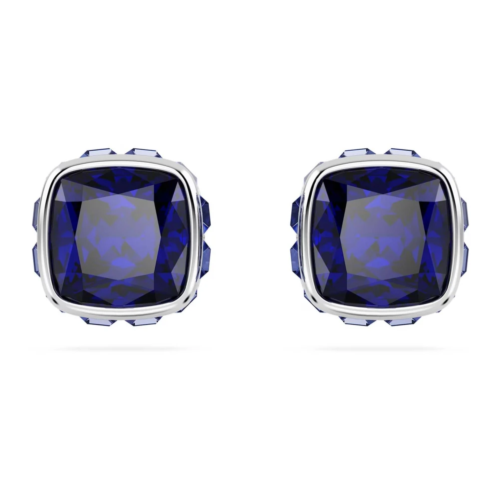 Swarovski Women's Gray Earrings, One Size, Watches