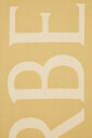 collection-decharpes-et-foulards-elegants