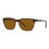 dark-havana-brown-sunglasses-cortex-an-4291