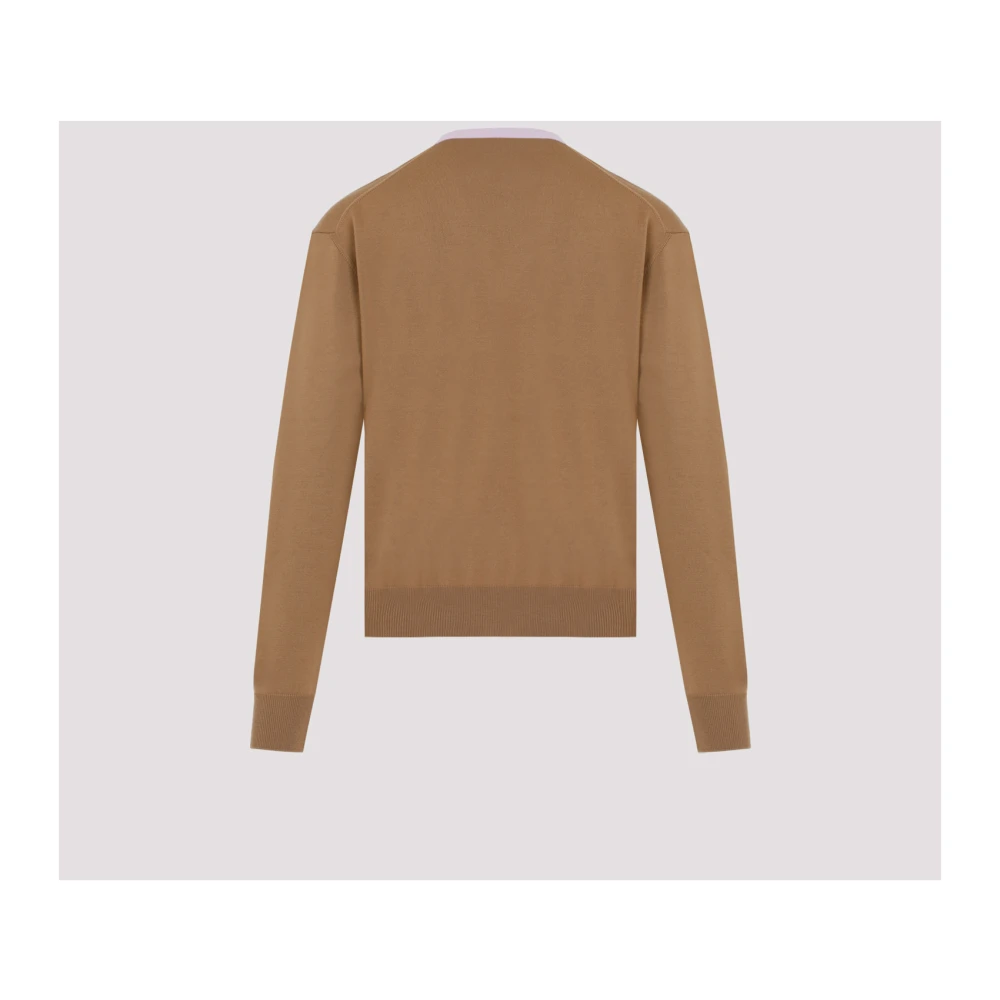 Jil Sander Walnoot Jumper Brown Heren