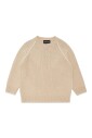 pull-intarsia-aigle