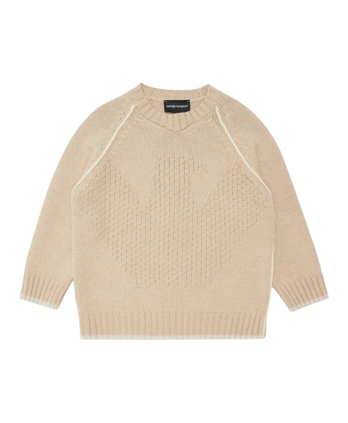 pull-intarsia-aigle