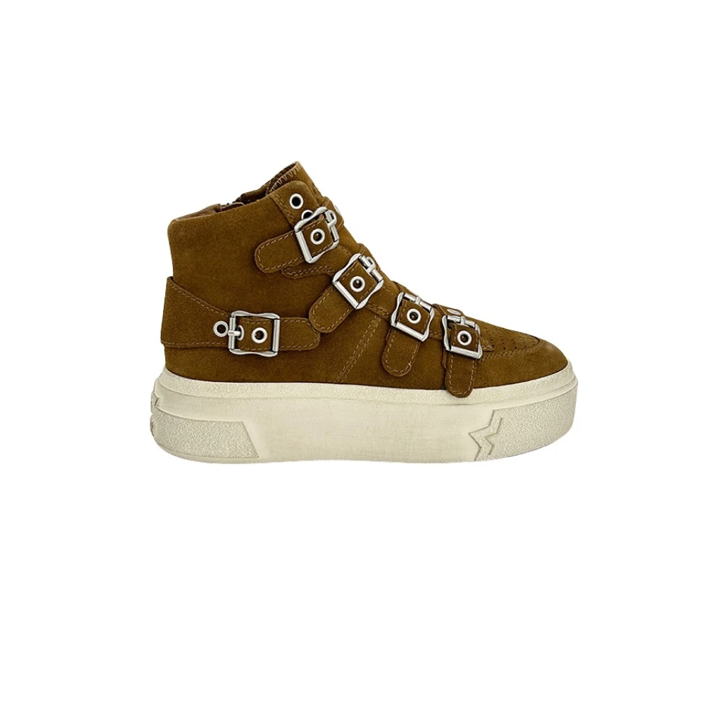 ASH - Shoes > Sneakers - Brown - ASH - Modalova
