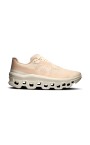 chaussures-void-cloudmonster