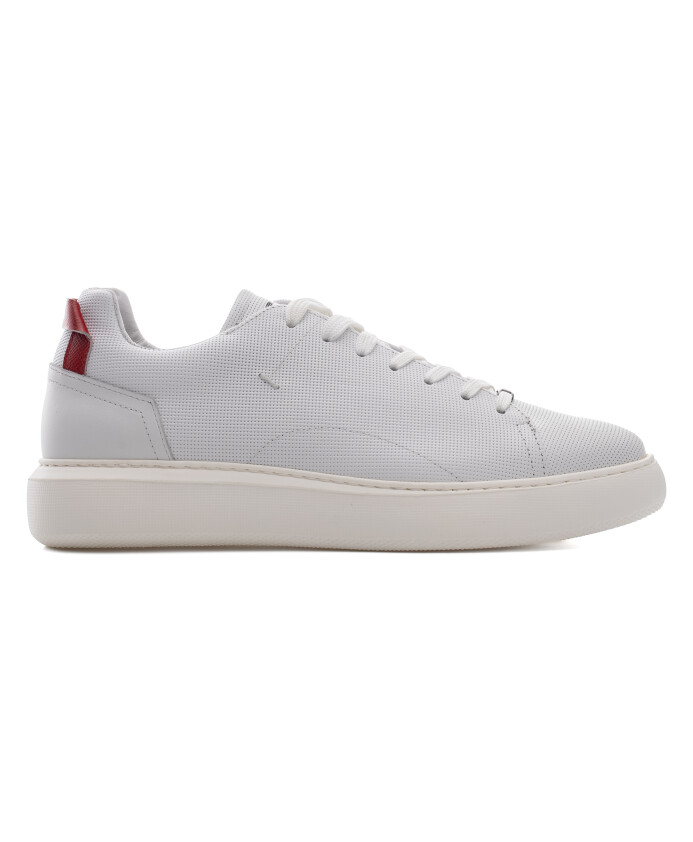 eclipse-chaussure-a-lacets