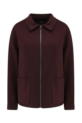 Pointed Collar Zip Jacket