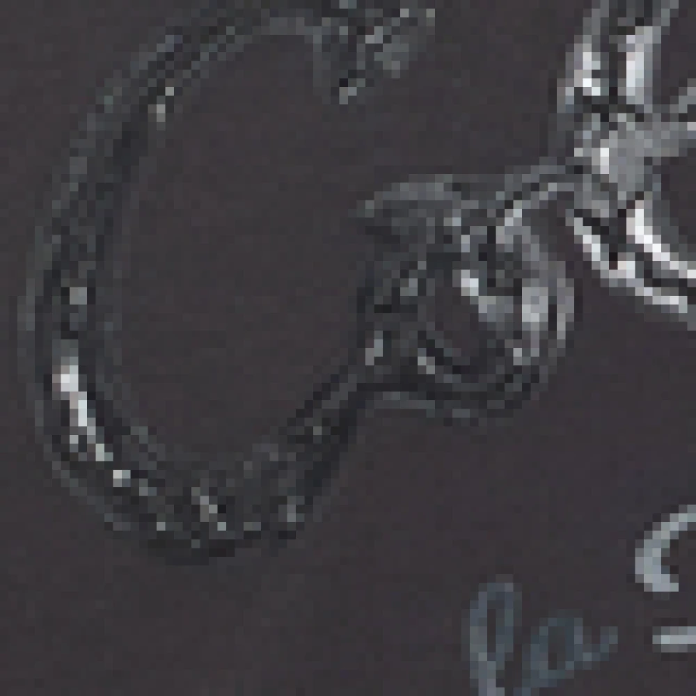 carlo colucci Premium Familie Oversize T-Shirt Black Heren
