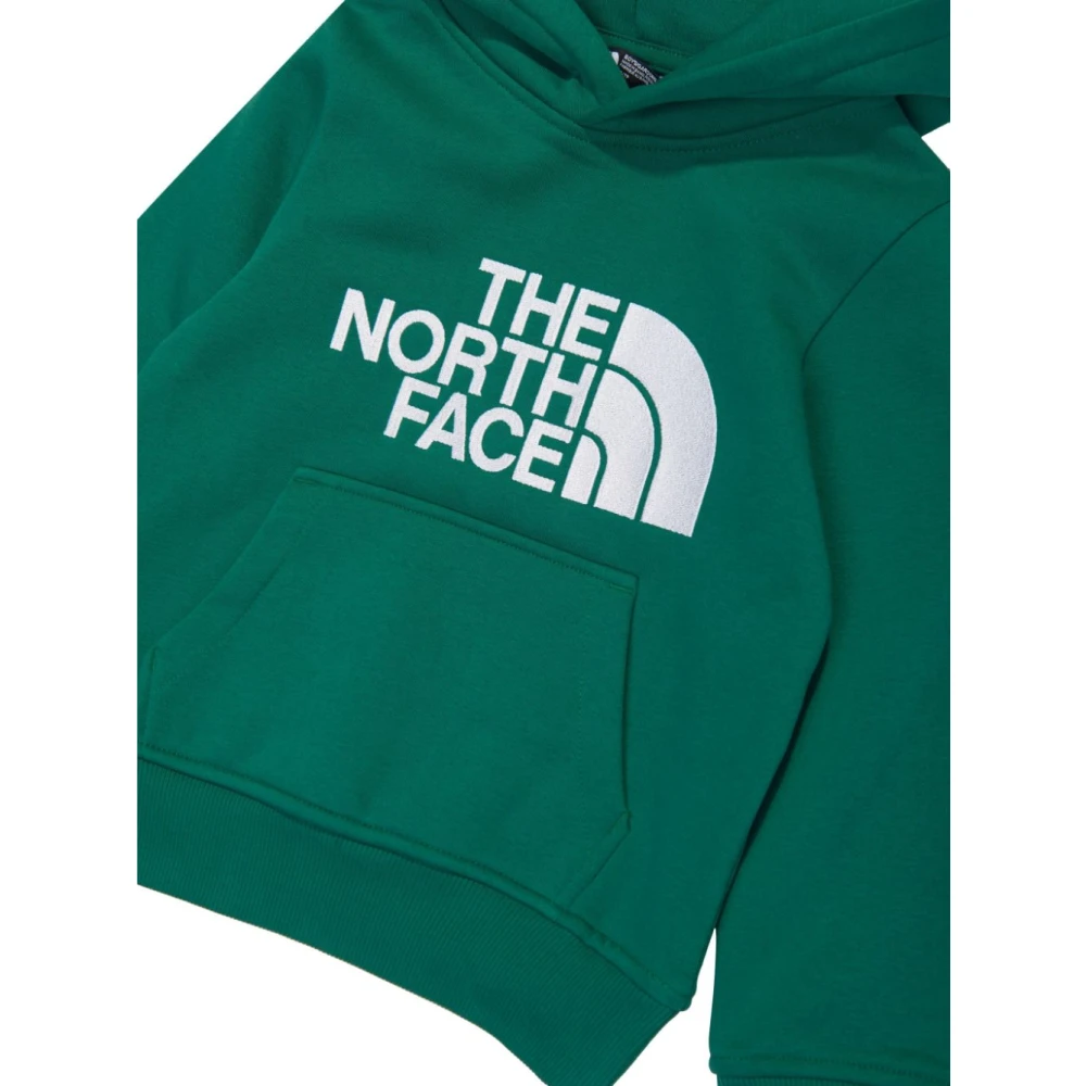 The North Face Groene Sweater Collectie Green Heren