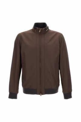 spring-lewis-bomber