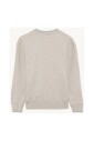 crewneck-sweatshirt