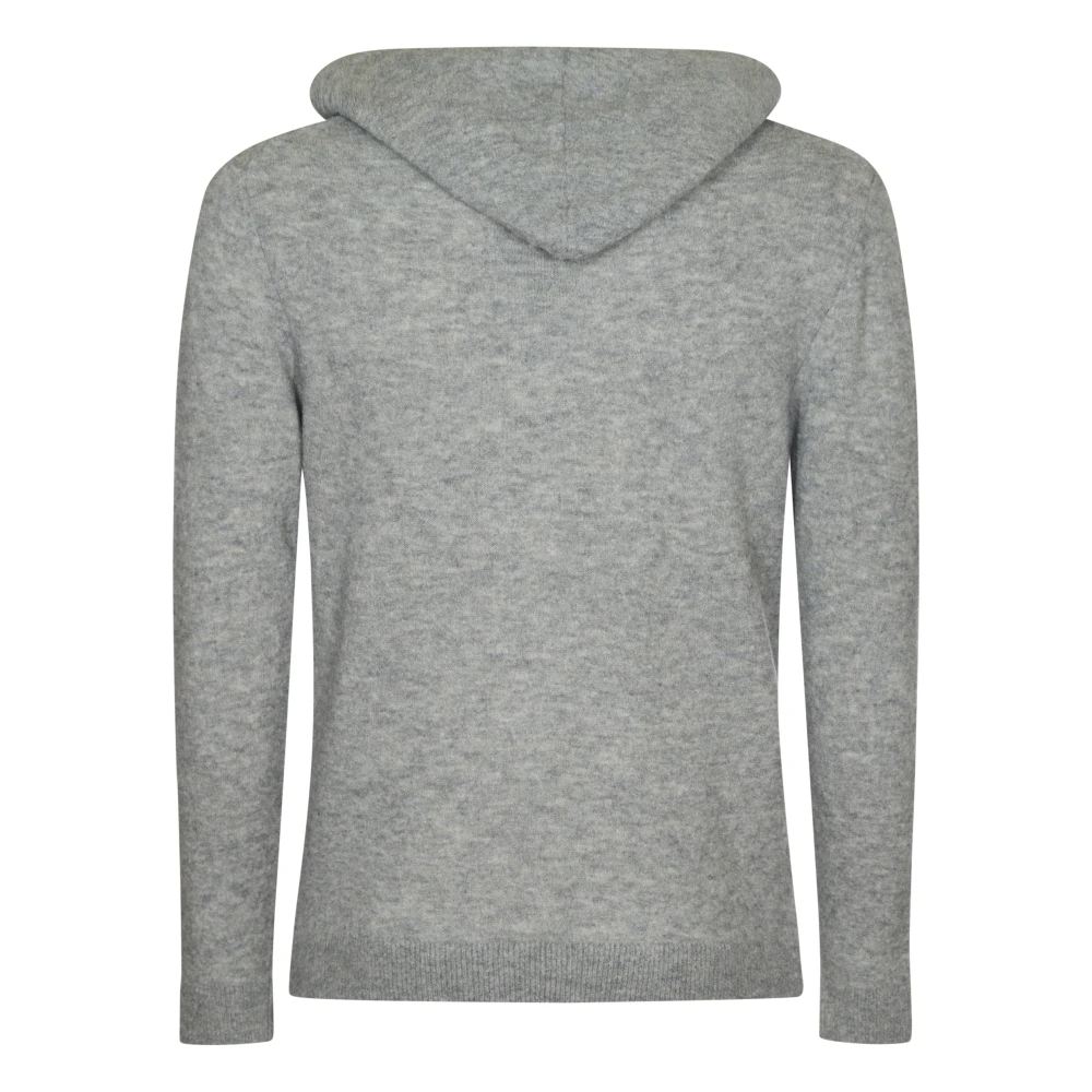 Daniele Fiesoli Grijze Sweater Collectie Gray Heren