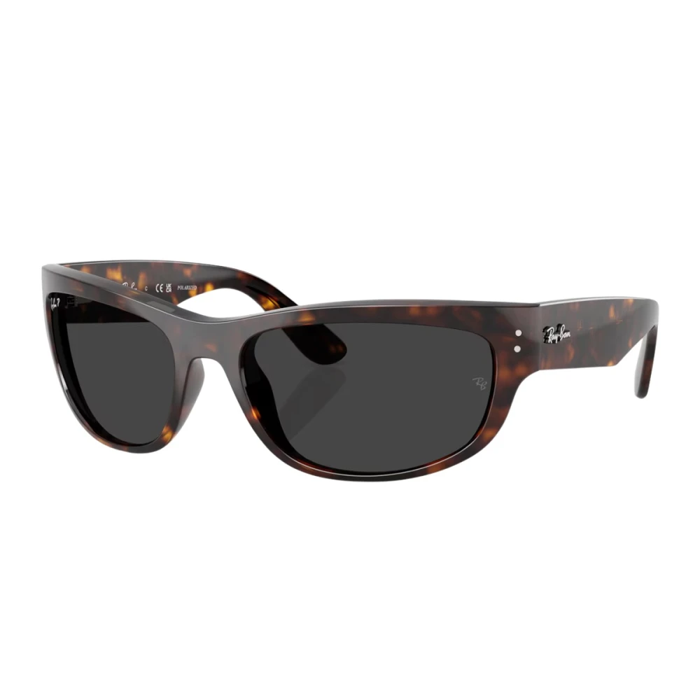 Accessories > Sunglasses - - Ray-Ban - Modalova