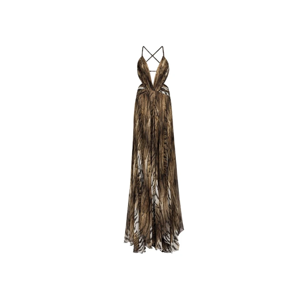 Roberto Cavalli Tijgerprint Maxi Zijden Jurk Multicolor Dames