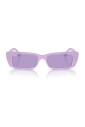 style-intemporel-lunettes-teru-rb4425