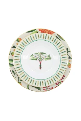 Soup and Dinner Plate Set