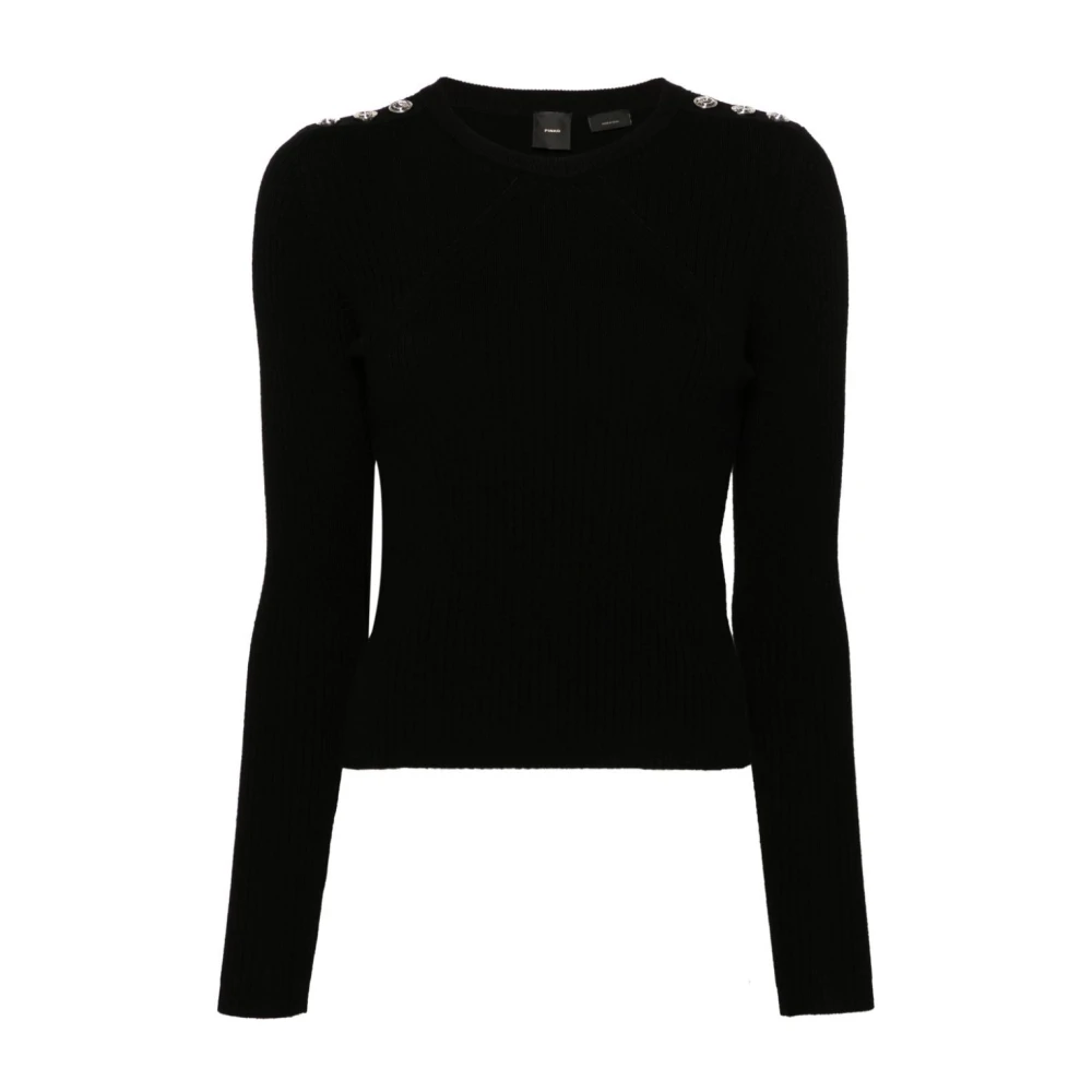 Pinko Nero Limousine Robusto Stijlvolle Tas Black Dames