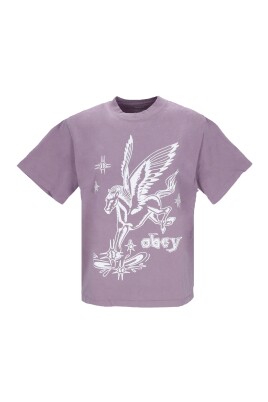 vintage-lilac-chalk-womens-t-shirt