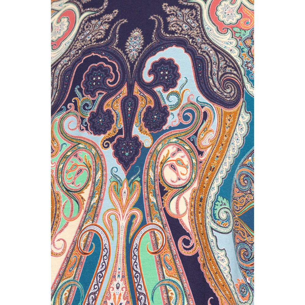 ETRO Gestreept T-shirt Multicolor Heren