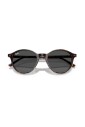 photocromatic-sunglasses-bernard-rb-2230