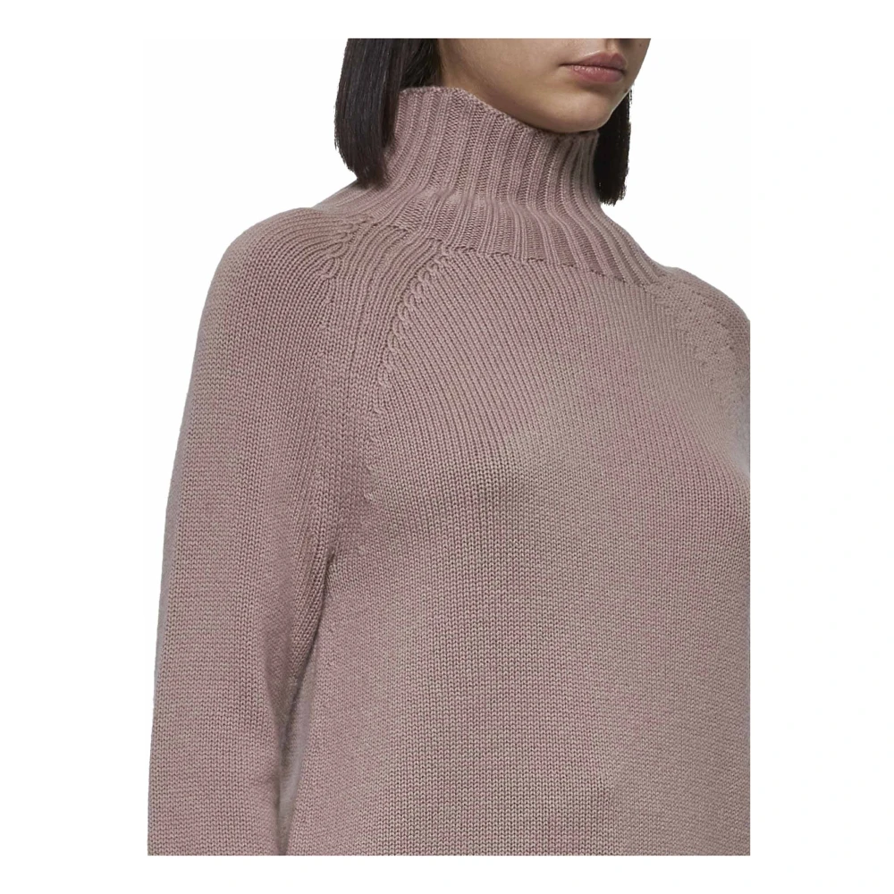 Max Mara Roze Mantova Coltrui Trui Pink Dames