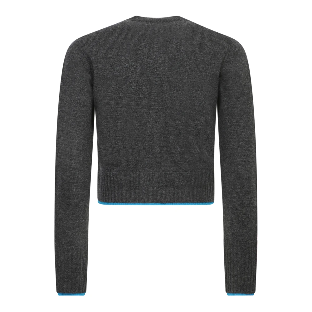 pinko Grijze Trui Aw24 Elegante Stijl Gray Dames