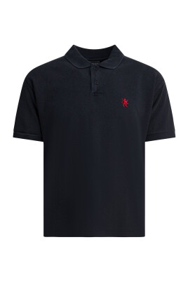 polo-standard