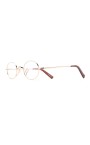 teseo-gd-opt-optical-frame