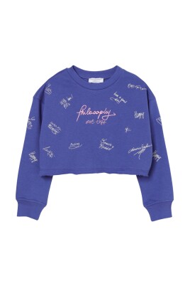 embroidered-sweatshirt