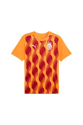 galatasaray-pre-match-shirt-2024-2025