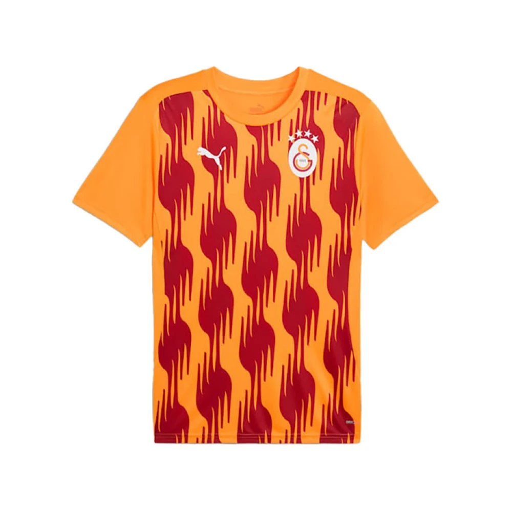 Puma Galatasaray Pre-Match Shirt 2024 2025 Multicolor Heren