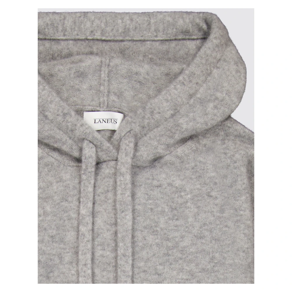 Laneus Kasjmier Zijde Hoodie Boxy Fit Gray Dames