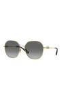 trendy-sunglasses-with-gold-frame