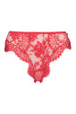 high-waist-lace-panties-with-tulle