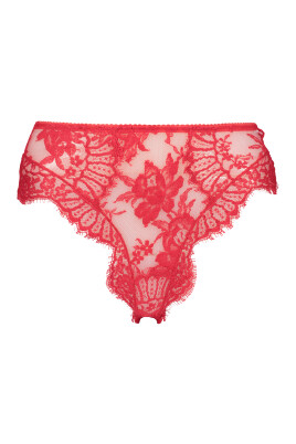 high-waist-lace-panties-with-tulle