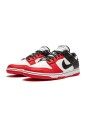 chicago-bulls-nba-75th-anniversary-dunk