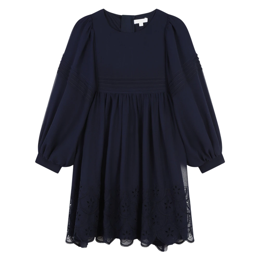 Chloé Women's Blue Silk Embroidered Dress