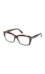 ft6065b-055-optical-frame