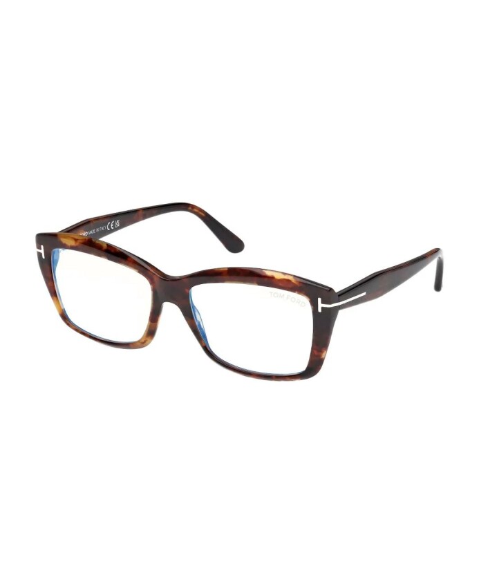 ft6065b-055-optical-frame