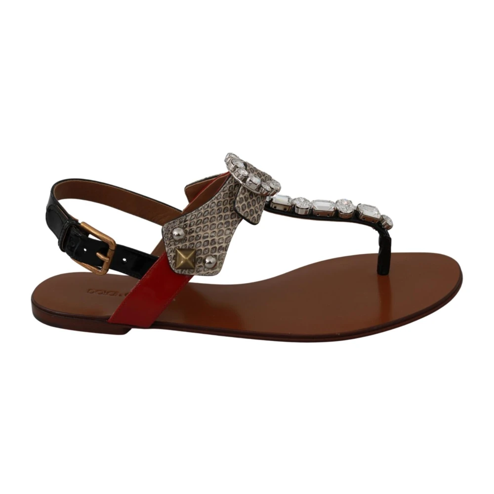Dolce & Gabbana Women's Brown Flat Sandals, 3 Uk, Crystal Embellished Sandals