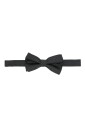 papillon-a-pois-classique
