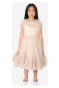 plumetis-tulle-gown-in-cream