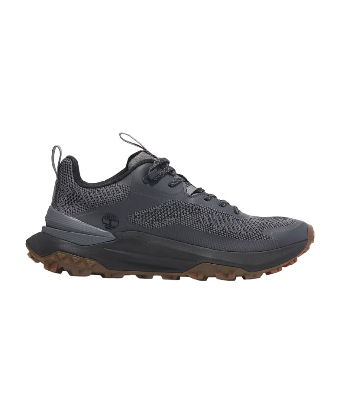 low-lace-sneaker-motion-access